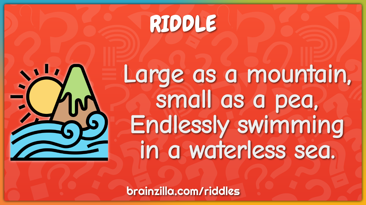 the word swim in huge letters