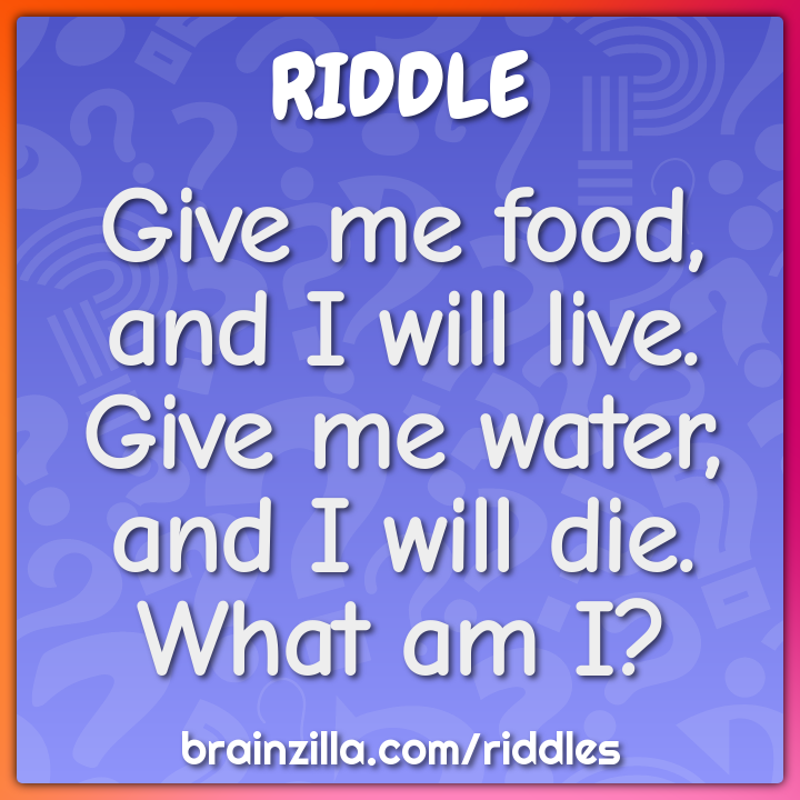 what am i riddles